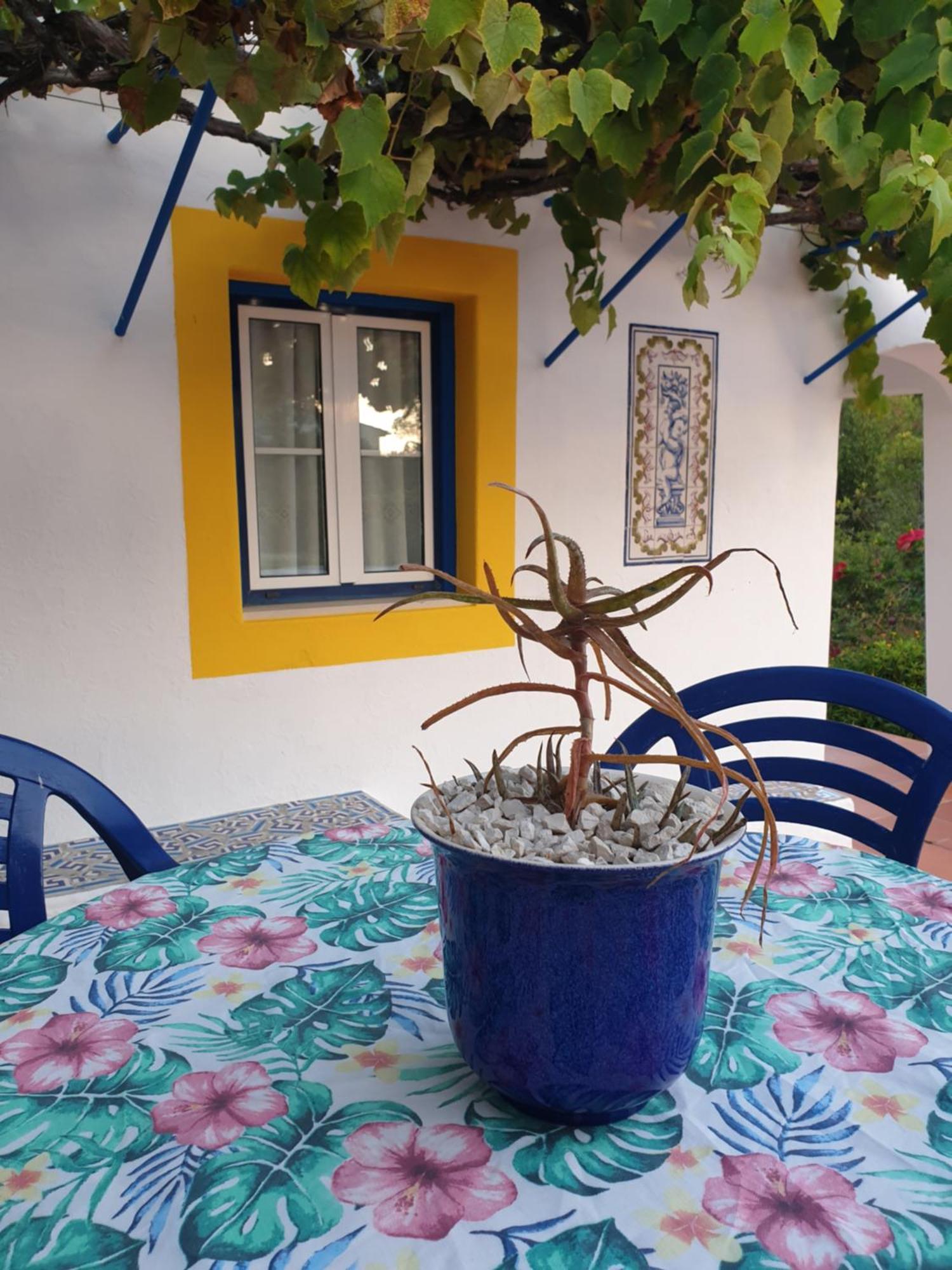Villa Sondela Self Catering à São Martinho do Porto Extérieur photo