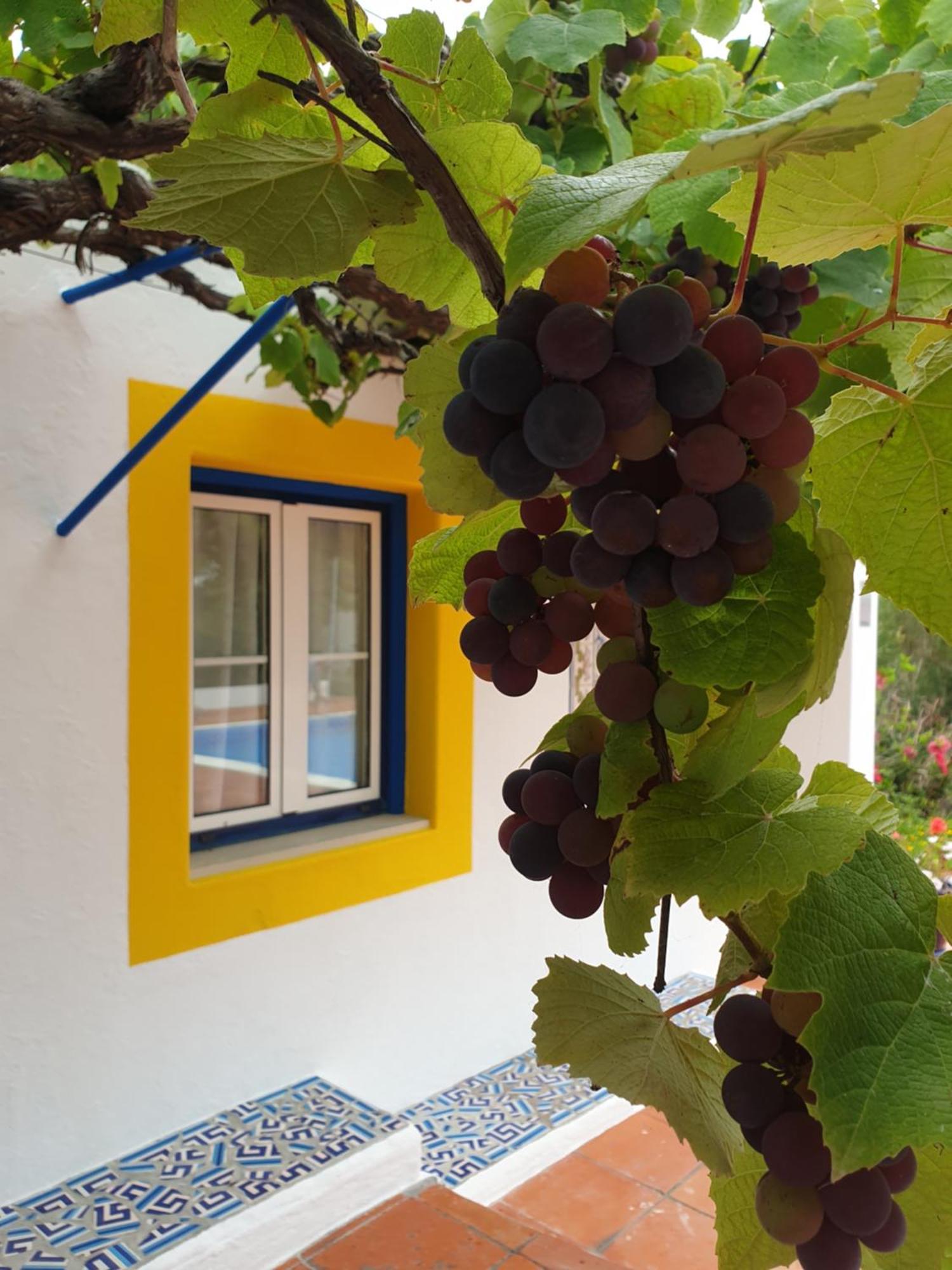 Villa Sondela Self Catering à São Martinho do Porto Extérieur photo
