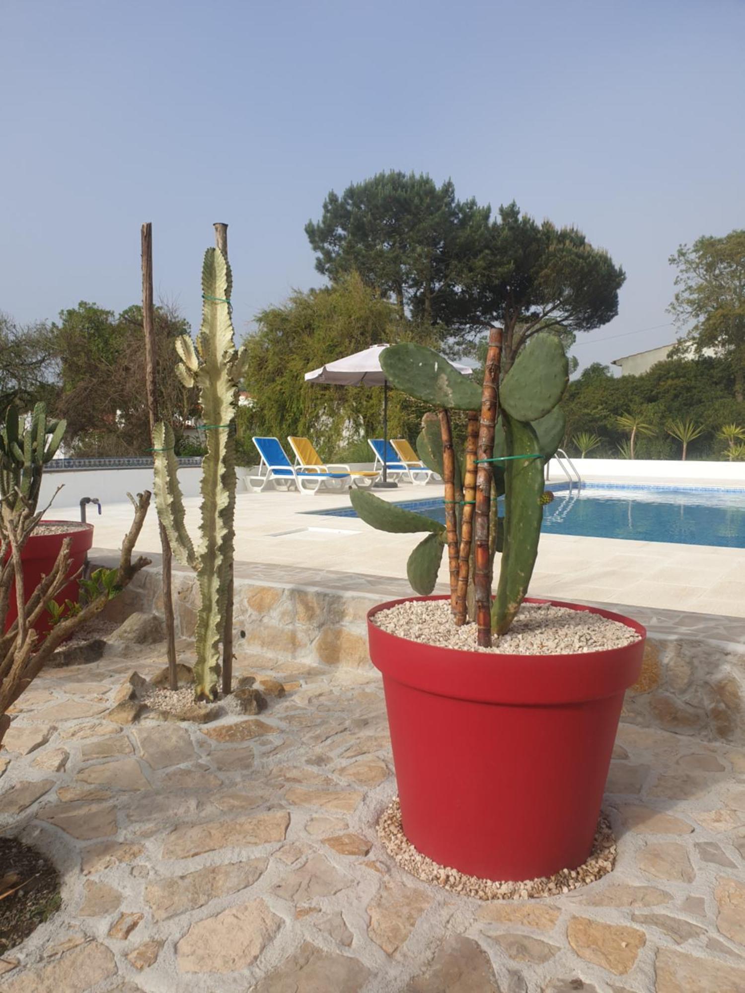 Villa Sondela Self Catering à São Martinho do Porto Extérieur photo