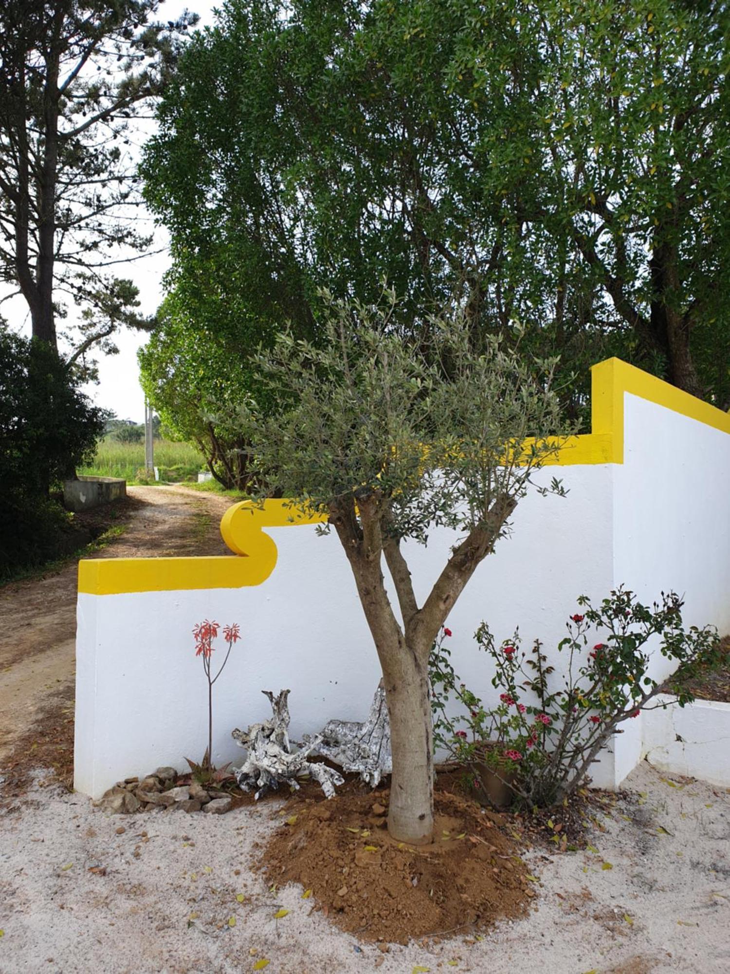 Villa Sondela Self Catering à São Martinho do Porto Extérieur photo